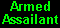 Armed Assailant