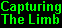 Capturing The Limb