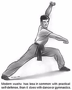 Modern wushu player