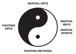 Yin Yang and Evolutionary Cycle