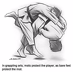 Mats protect the players