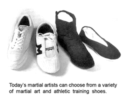 Variety of martial training shoes
