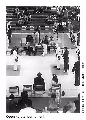 Open Karate Tournament