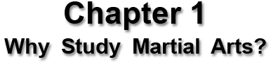 Martial Arts America, Chapter One