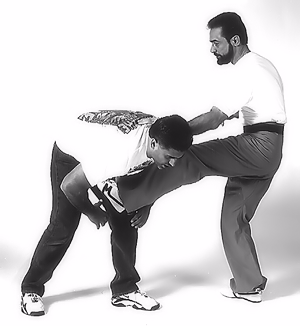 Front-kick to opponent's groin