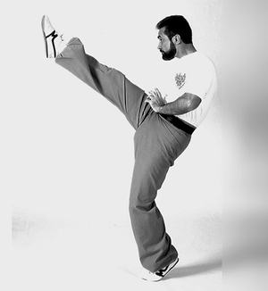 Front-kick as done in practice