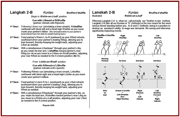 Fighting Footwork Sample Pages