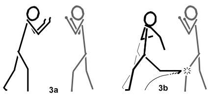 Offensive Back Kick Training with Standing Bag