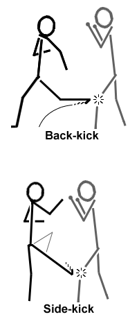 Offensive Back Kick Demo